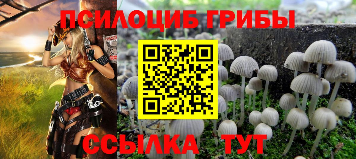 Псилоцибиновые грибы Cubensis Урай